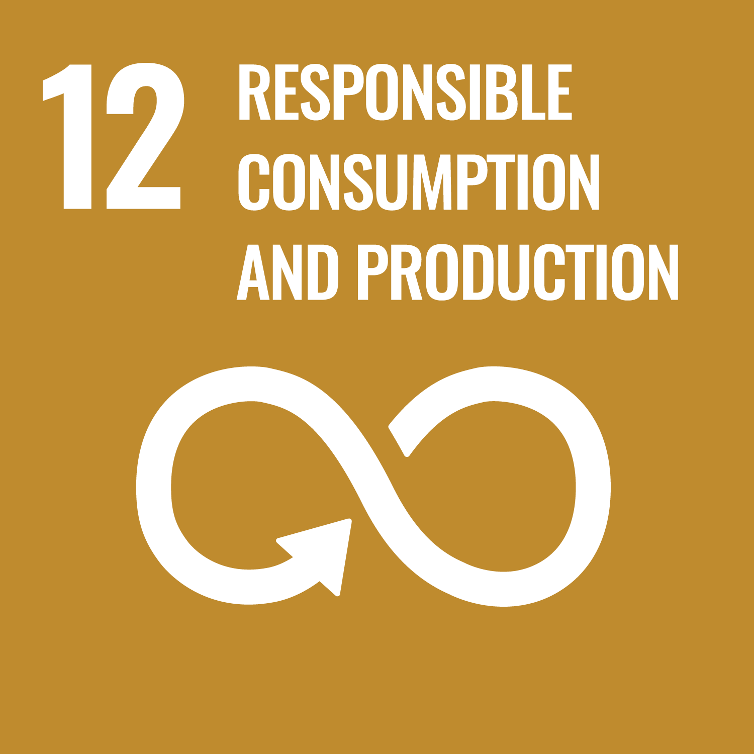 UN Sustainable Development Goal 12