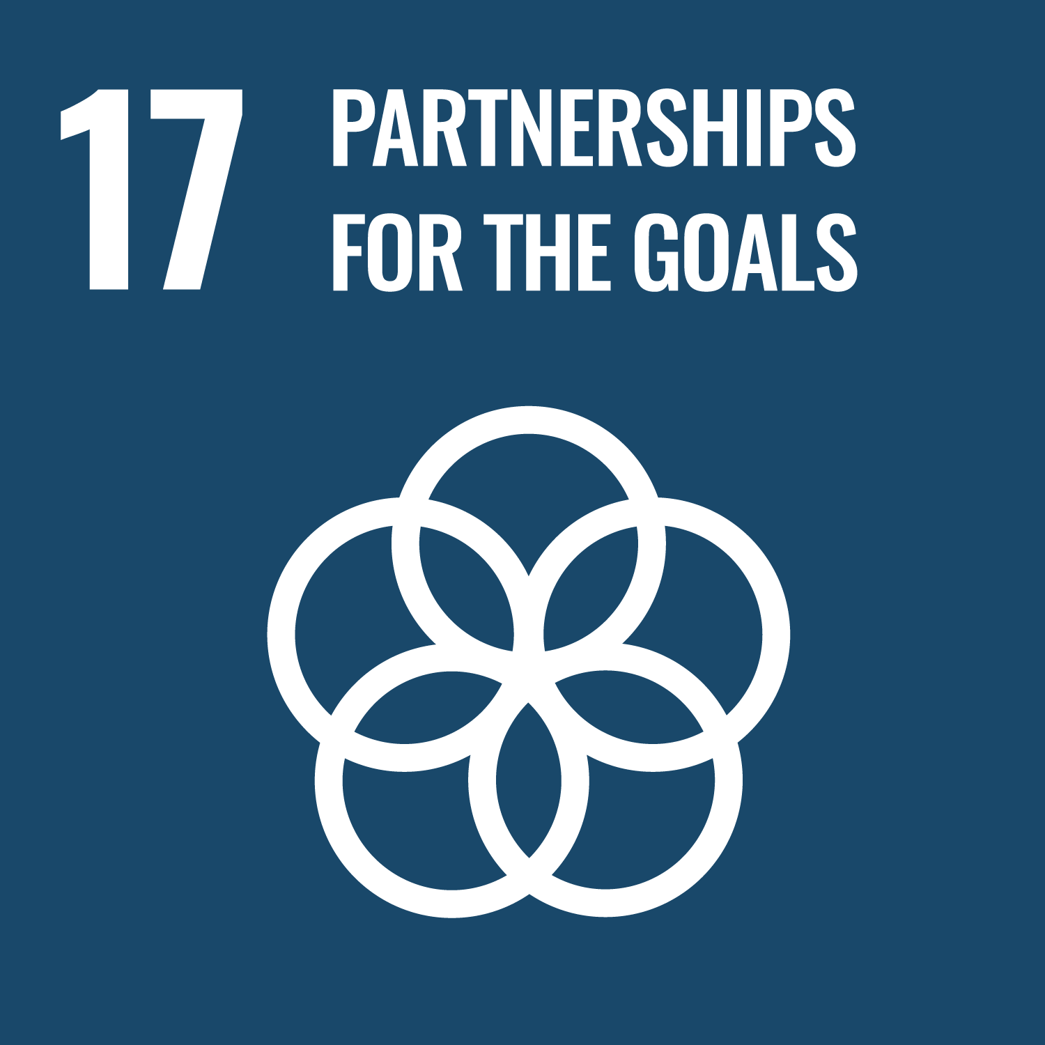 UN Sustainable Development Goal 17