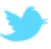 social icon
